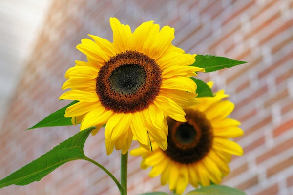 test 22 - image 3